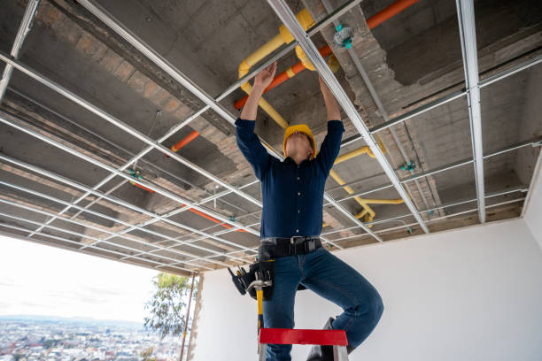 Best Local Plumber Services  in Mars Hill, NC
